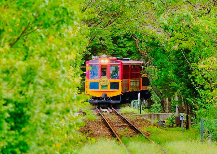 Japan Small Group Tours by Interest 2026/2027: 8 Themed Itineraries