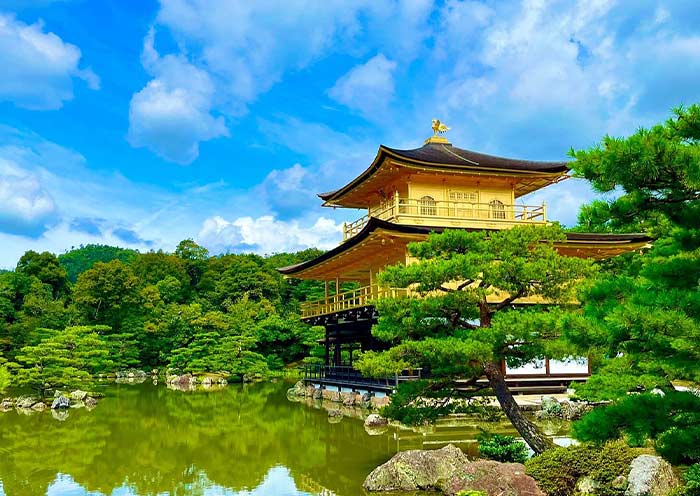 Small Group Tours vs Private Tours in Japan: How to Choose