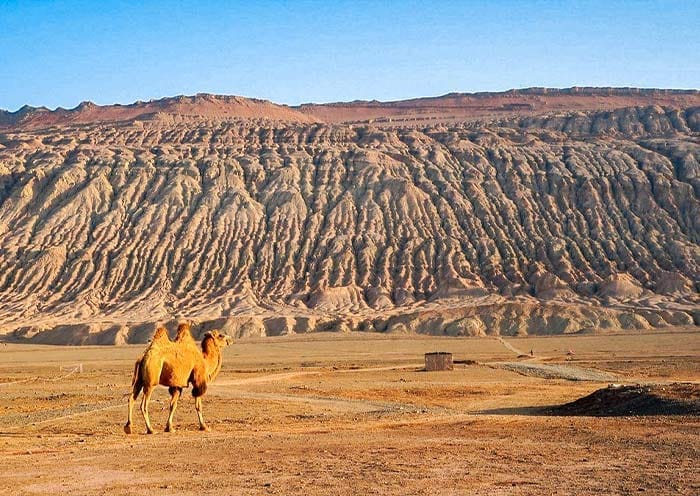 Urumqi Turpan Tour, 5 Days Xinjiang Tour - 1