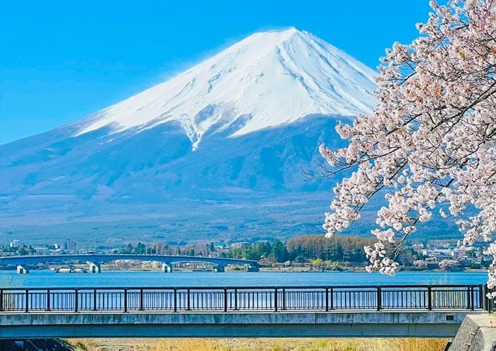 Best Time to Visit China: Month by Month Guide (2026)