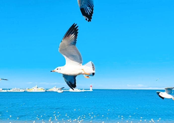 7 Days Qinghai Gansu Tour: Xining/Zhangye/Jiayuguan/Dunhuang Tour - 1
