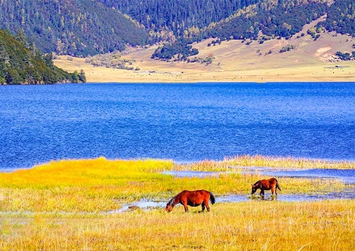 7 Days Kunming Lijiang Shangri-La Tour: Yunnan Beauty & Diverse Ethnic Cultures - 4