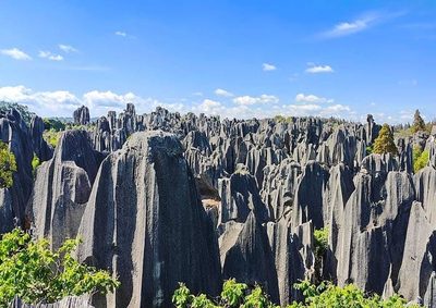 3 Days Kunming Stone Forest Tour (World Heritage)