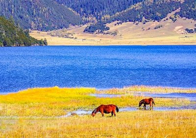 Kunming to Xishuangbanna Tour, 5 Days South Yunnan Tour