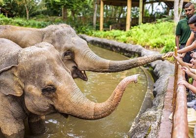 8 Days Singapore & Malaysia Combo