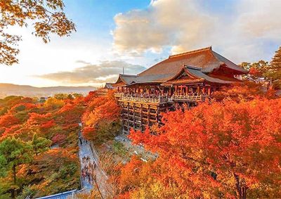 8 Days Japan Autumn Leaves Tour: Golden Route from Osaka to Tokyo